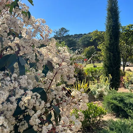 Vendégház Les Jardins De Santa Giulia - Charmante Chambre D'hote 3*