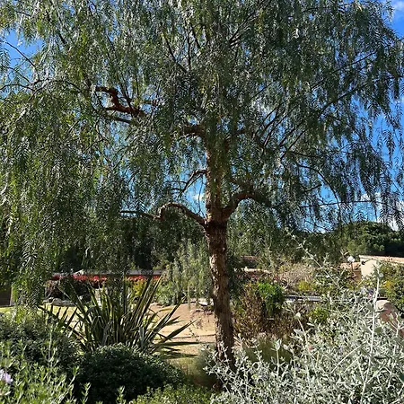 Les Jardins De Santa Giulia - Charmante Chambre D'hote 2* Porto-Vecchio (Corsica)