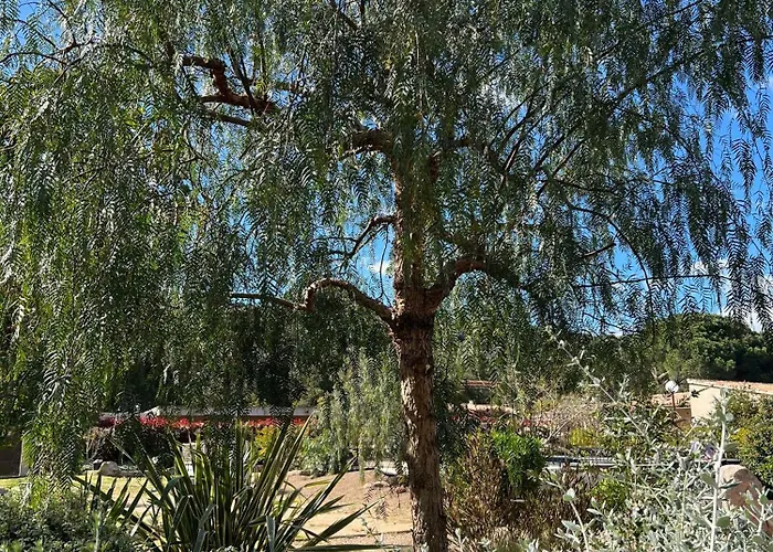 Les Jardins De Santa Giulia - Charmante Chambre D'hote 3* Porto-Vecchio (Corsica)