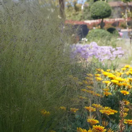 Les Jardins De Santa Giulia - Charmante D'hote Vendégház Porto-Vecchio