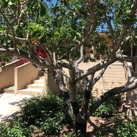 Les Jardins De Santa Giulia - Charmante Chambre D'hote Konukevi