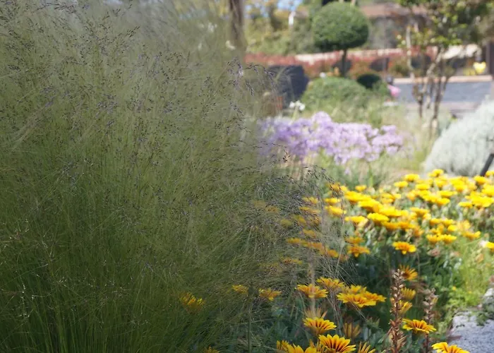 Les Jardins De Santa Giulia - Charmante Chambre D'hôte Maison d'hôtes Porto-Vecchio (Corsica)