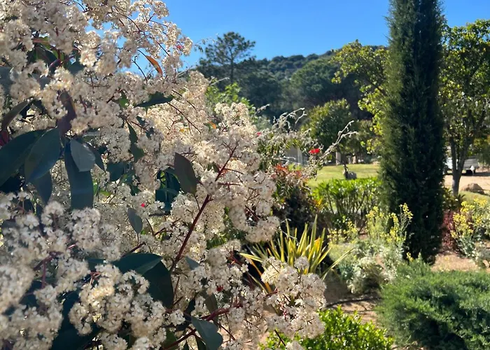 Maison d'hôtes Les Jardins De Santa Giulia - Charmante Chambre D'hôte 3*